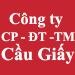 Công ty CP Đầu tư thương mại dịch vụ Cầu Giấy