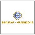 Công ty TNHH Berjaya-Handico12