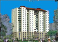Công ty TNHH Dịch vụ Thương mại  Kim Hồng