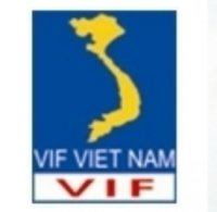 Công ty CP Đầu tư Tài chính VIF Việt Nam
