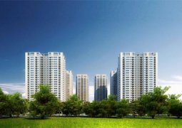 Công ty TNHH MTV đầu tư Phương Đông