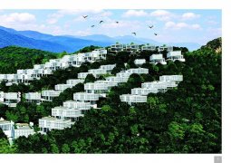 Công ty TNHH Đồi Xanh Nha Trang