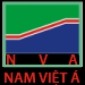 Công ty CP Đầu tư Xây dựng và Phát triển hạ tầng Nam Việt Á
