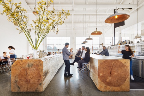 Những thân cây lớn được tạo thành quầy bar và băng ghế độc đáo trong nhà hàng ở San Francisco