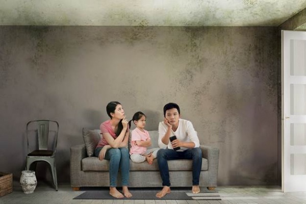 Ảnh hưởng của nấm mốc đến ngôi nhà​