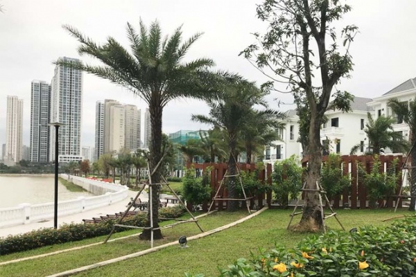 Bộ Xây dựng: Ít ‘bong bóng bất động sản’năm 2020