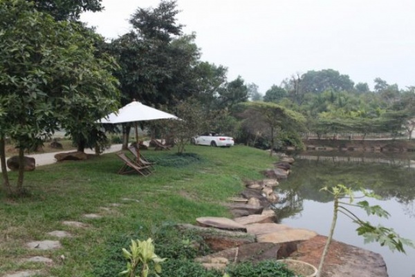 Green Villas 4