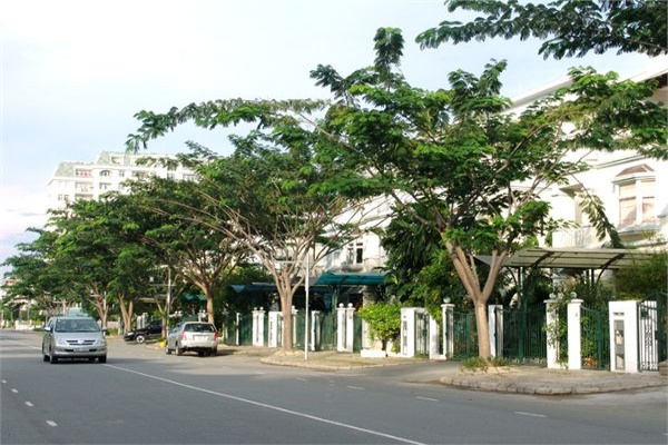 Mỹ Thái 2