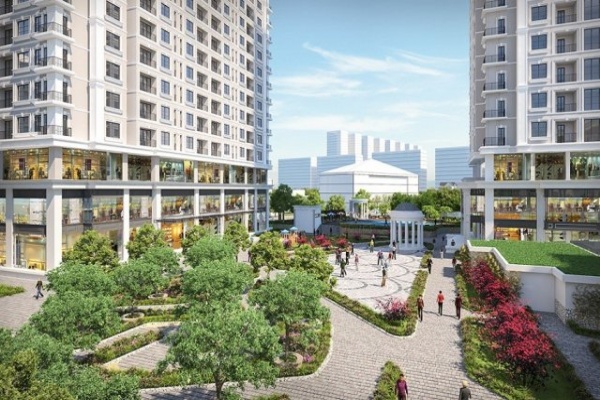Aurora Garden