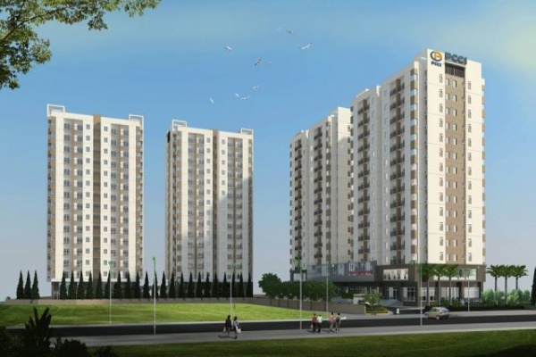 PCC1 Complex