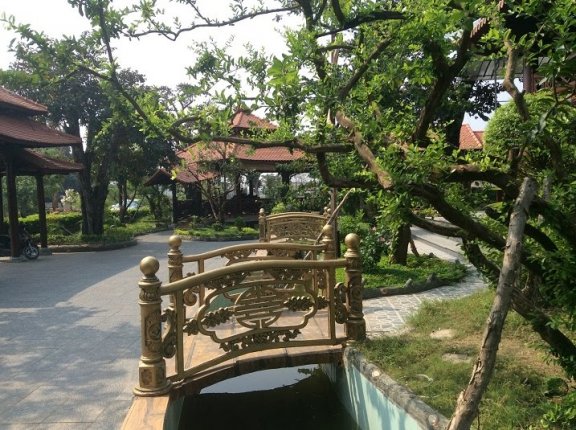 Camland Garden