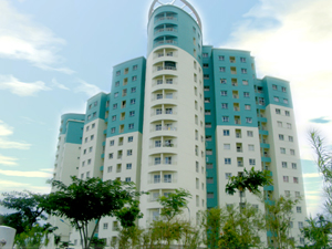 Conic Garden