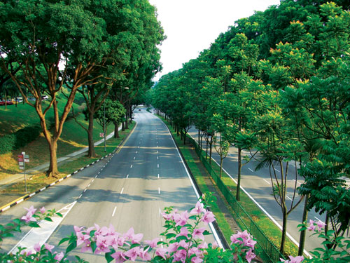 Garden Town