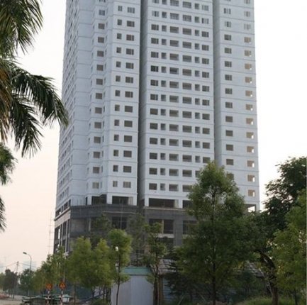 N03 -T8 Ngoại Giao Đoàn