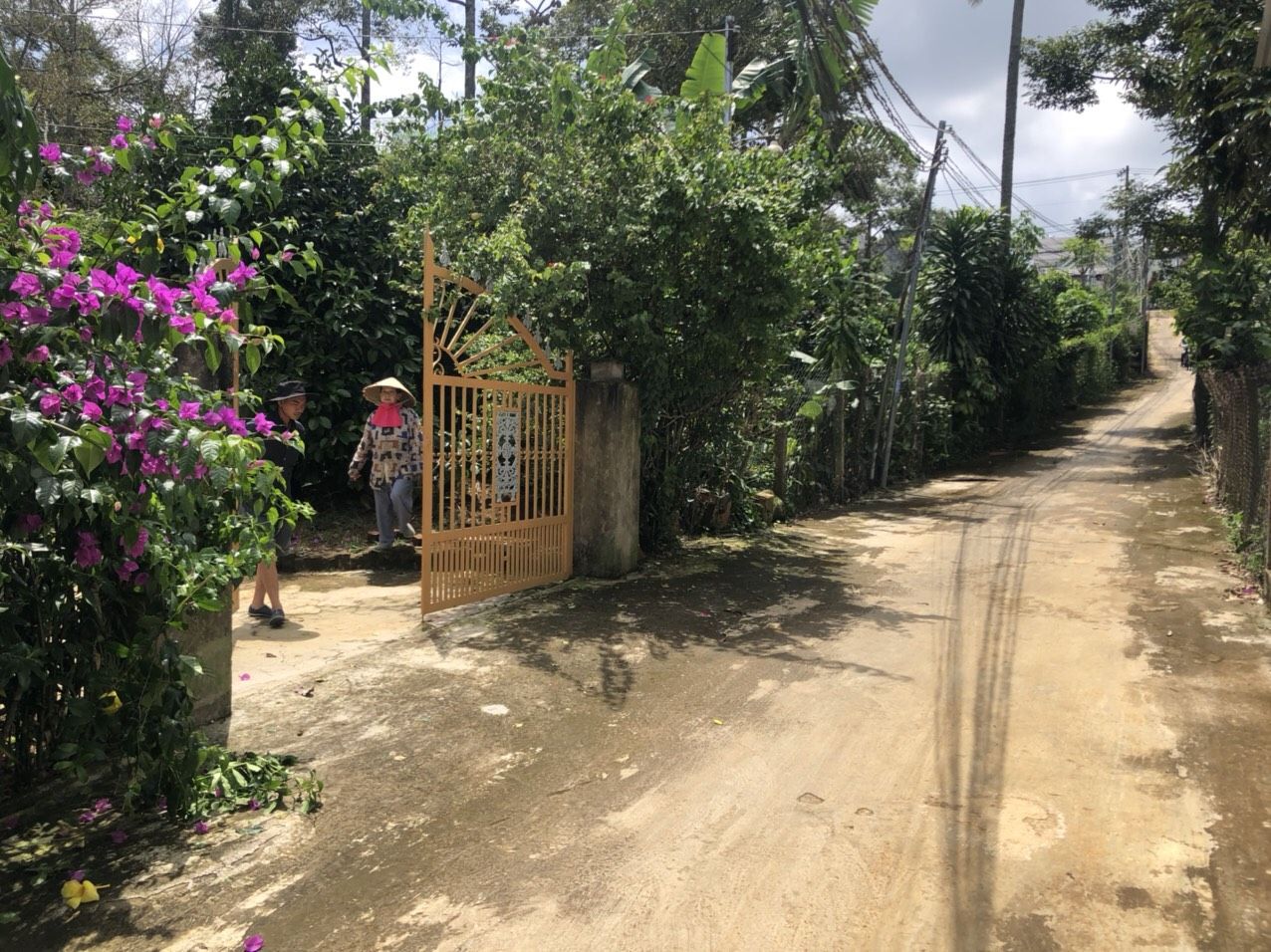Cần Bán Nhanh Lô Đất Nghỉ Dưỡng Giá Siêu Rẻ Nằm Giữa Trung Tâm TP.Bảo Lộc.