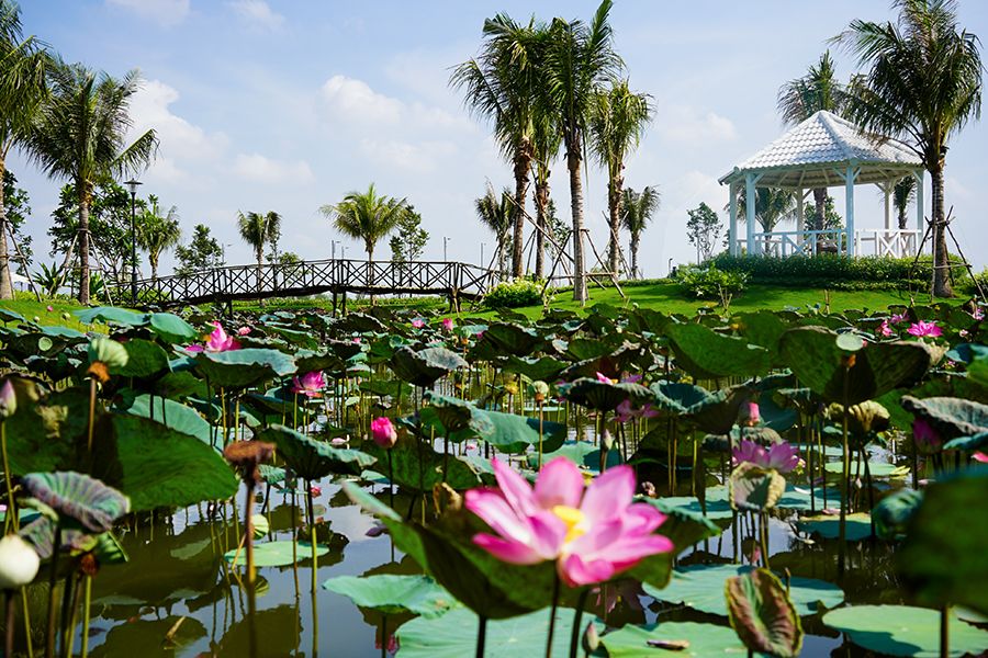 BIỆT THỰ VƯỜN SAIGONGARDEN Q9, ĐẦU TƯ SINH LỜI,NƠI Ở ĐẲNG CẤP NHẤT SÀI GÒN