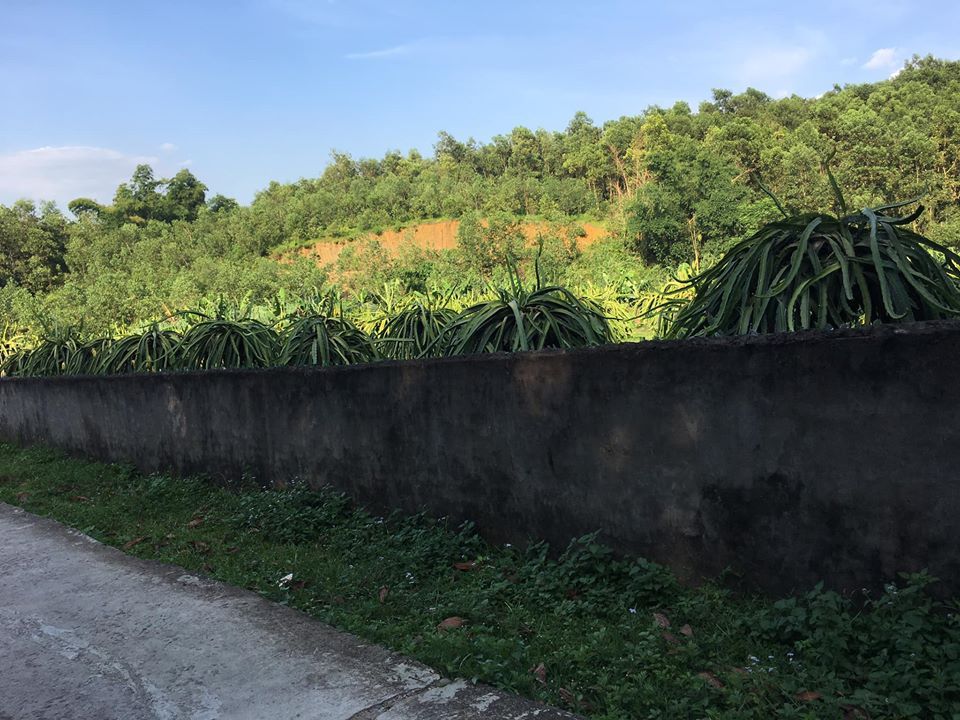 Do không làm & cần tiền nên nhà e bán khu đất tại xóm Mỵ - xã Yên Mông- tp. Hoà Bình.