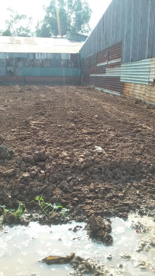 Hàng thơm xuất hiện Mặt tiền huỳnh thị na, xã đông thạnh, hóc môn 12x30 đất trồng cây