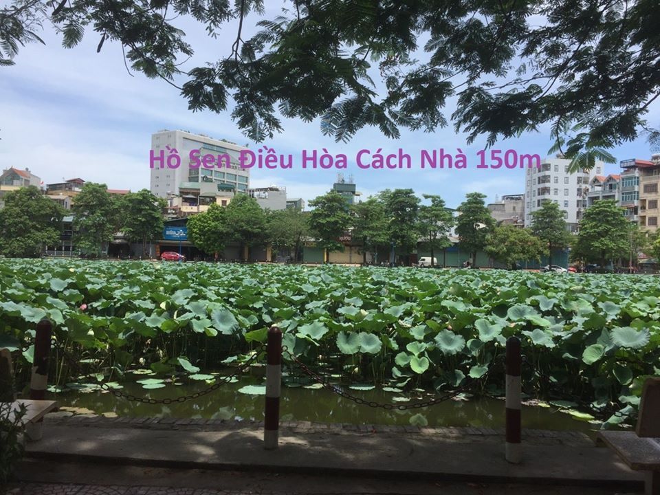 Mảnh Đất Siêu Đẹp - Trường Chinh – Quận Thanh Xuân. 120m2. Giá Chỉ Nhỉnh: 5Tỷ!