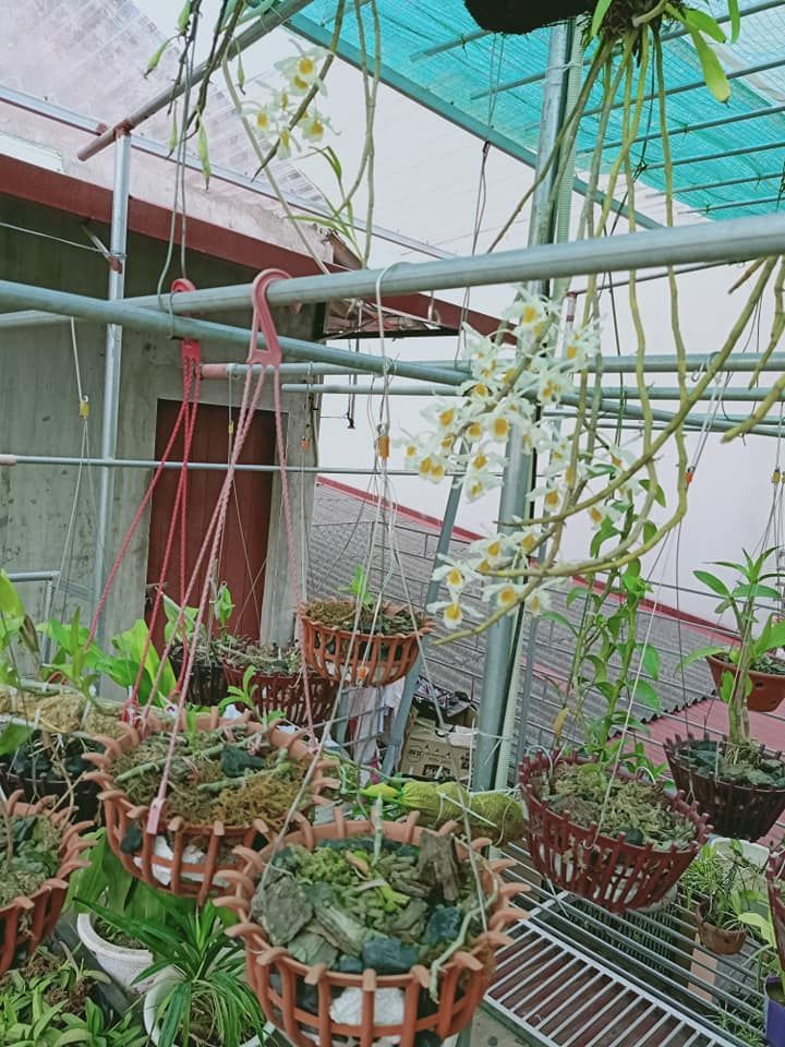 Phòng trọ đẹp như mơ! View đẹp, thoáng mát, yên tĩnh,sân chơi thoải mái đường lớn Mình Khai BG