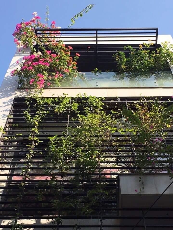 Gia đình chuyển sang Đức định cư bán nhà xây ở như biệt phủ Hoàng Mai