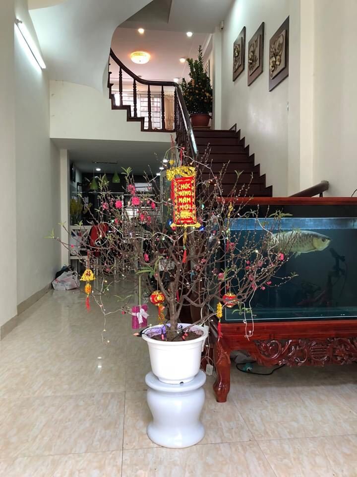 Bán nhà Thanh Liệt Thanh Trì cách Nguyễn Xiển 600m 40m2 , nhà như hình, để lại toàn bộ nội thất