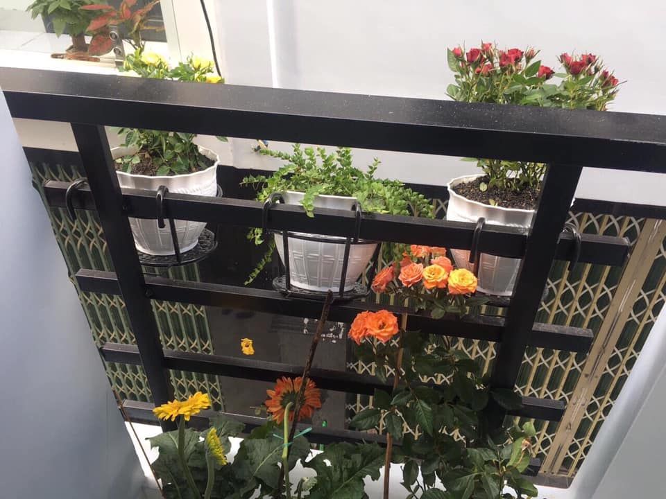 NHÀ MỚI ĐẸP NGAY TRUNG TÂM THÀNH PHỐ QUY NHƠN - RẤT GẦN ĐƯỜNG THANH NIÊN