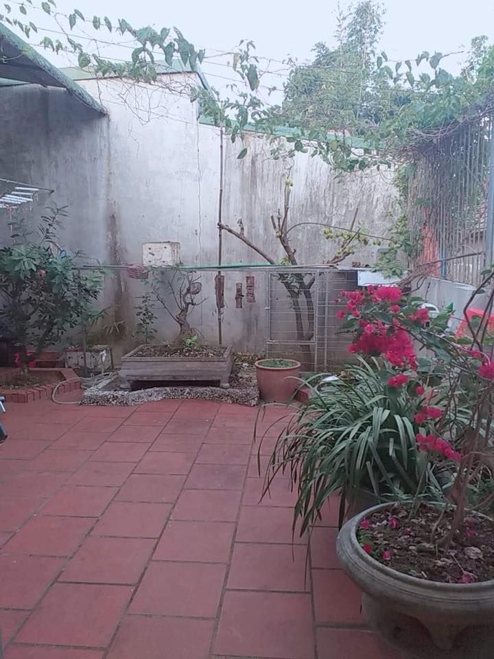 Bán nhà cấp 4 rộng 10*14 nhà rộng rãi, gồm 02 phòng ngủ, 01 phòng khách, 01 phòng bếp ăn, 02 nhà vs