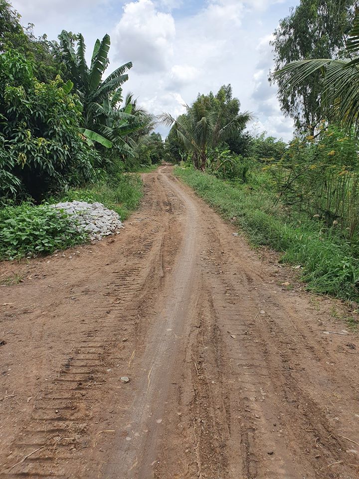 Chính chủ cần tiền làm ăn bán 13000m2 đất trồng lúa. ấp 4 xã phú lợi thanh bình đồng tháp