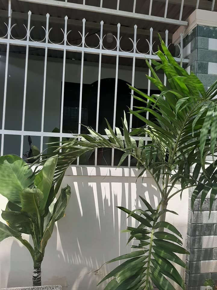 Diện tích 100m2, gồm có sân rộng, 1 phòng khách, 2 phòng ngủ, nhà bếp rộng, nhà vệ sinh rộng.
