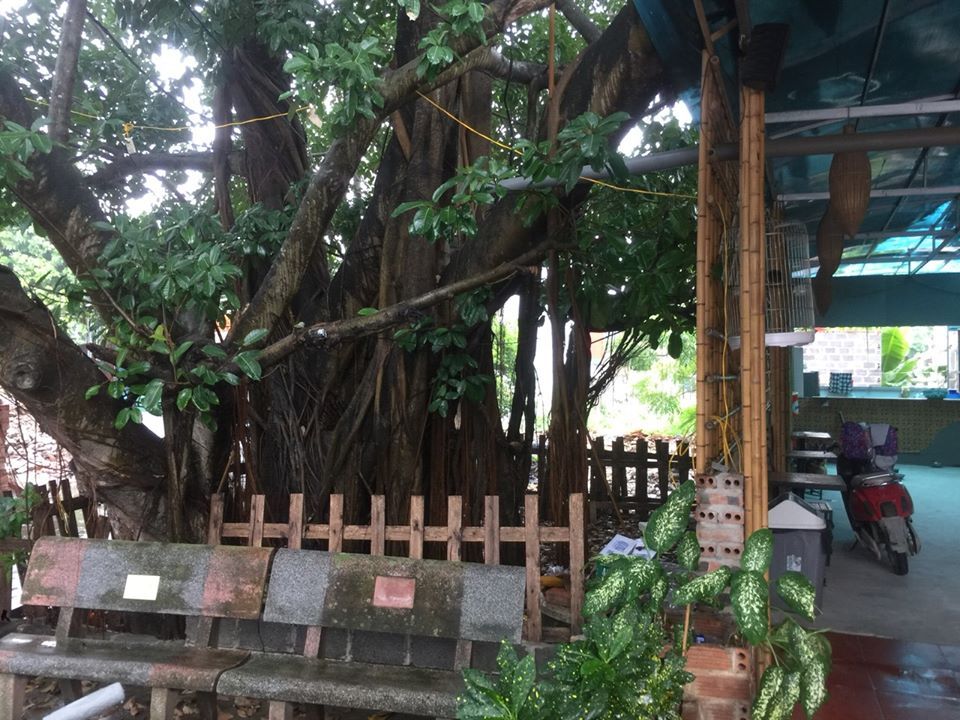 Chính Chủ Cần Bán Đất Vàng Tam Cốc – Ninh Bình