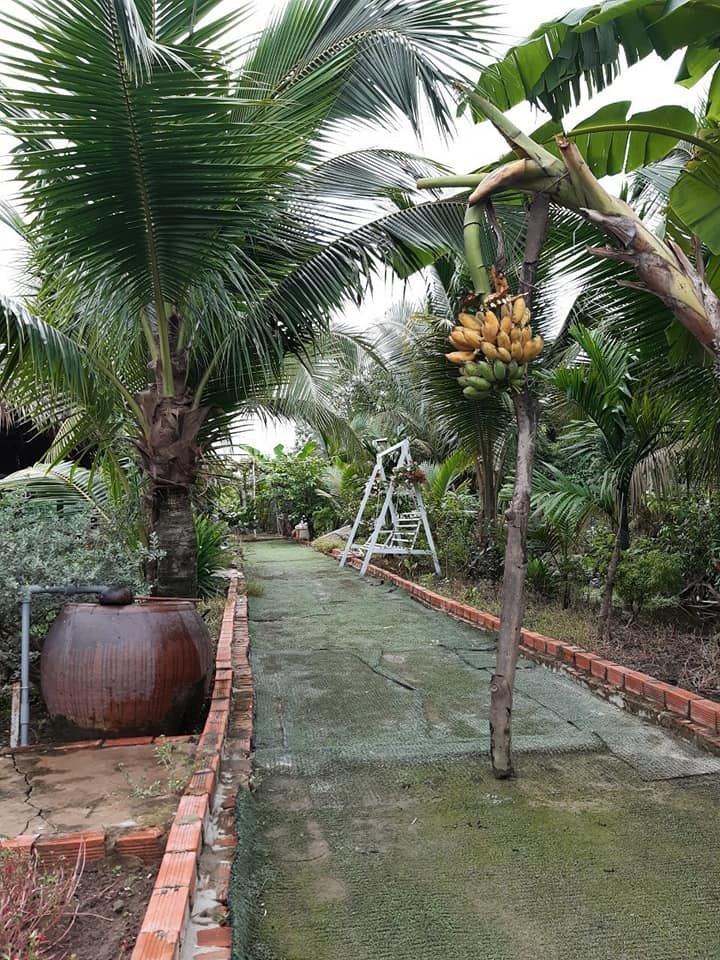 Bán Nhà Vườn Bình Mỹ Củ Chi Kênh Đá Hàng Vào 1 xẹc Đường 5m xe Hơi 1.815m2