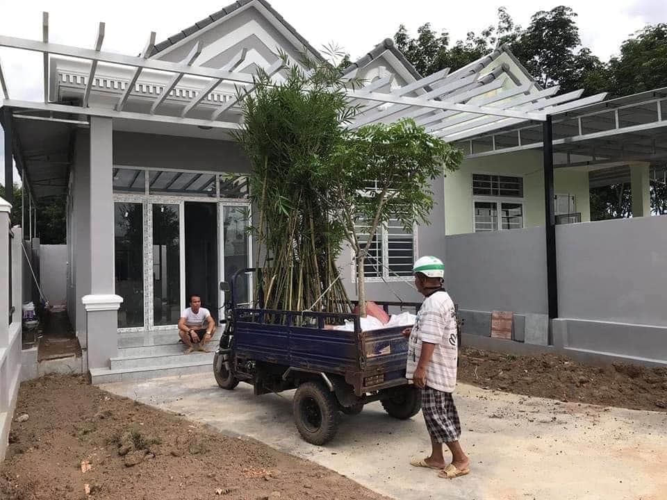 CẦN BÁN GẤP 7 CĂN NHÀ THÁI MẶT ĐƯỜNG NHỰA 13M ĐI THÔNG, VỊ TRÍ ẤP BƯNG TRANG PHƯỜNG TIẾN THÀNH