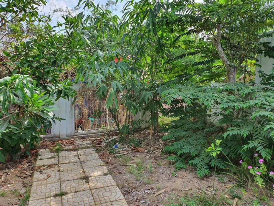 CHO THUÊ NHÀ VƯỜN KIỂU HOMESTAY DT RỘNG GẦN VƯỜN TRÁI CÂY CHÍN HỒNG NGANG THIỀN VIỆN TRÚC LÂM