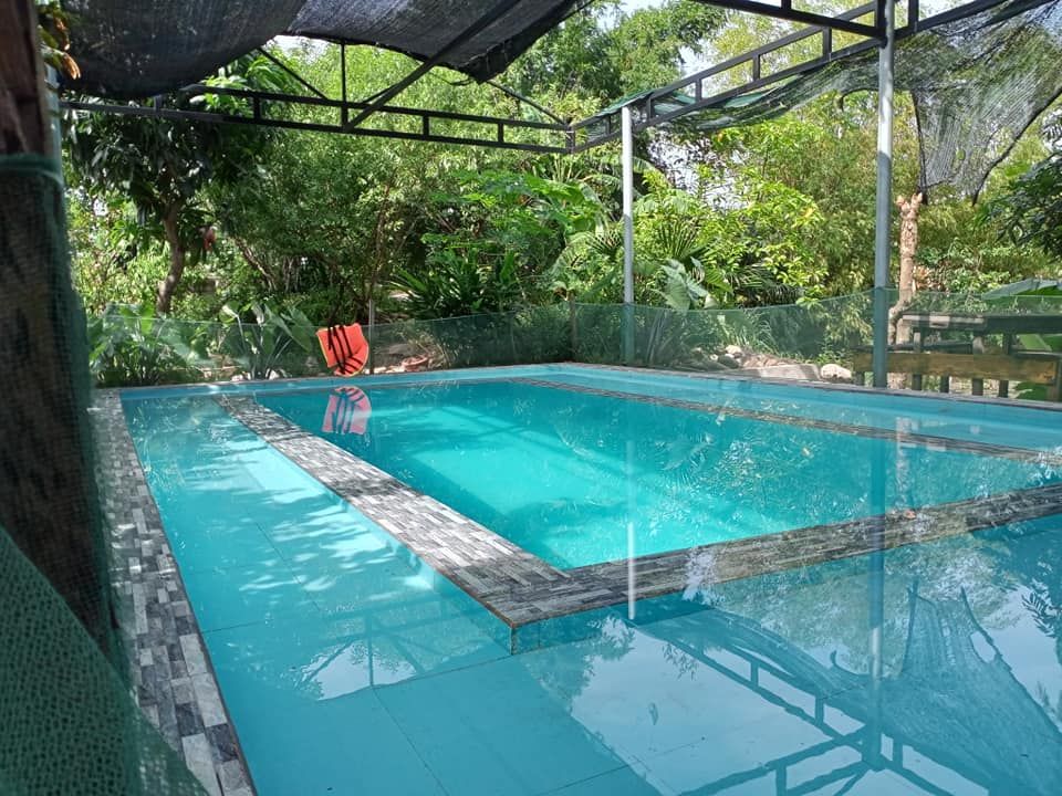 nhà sàn gỗ sến, trò 110m2( 6 phòng ngủ), 2 nhà cấp 4 ngói hạ long ( 25m2 / nhà), bếp, kho, sân vườn
