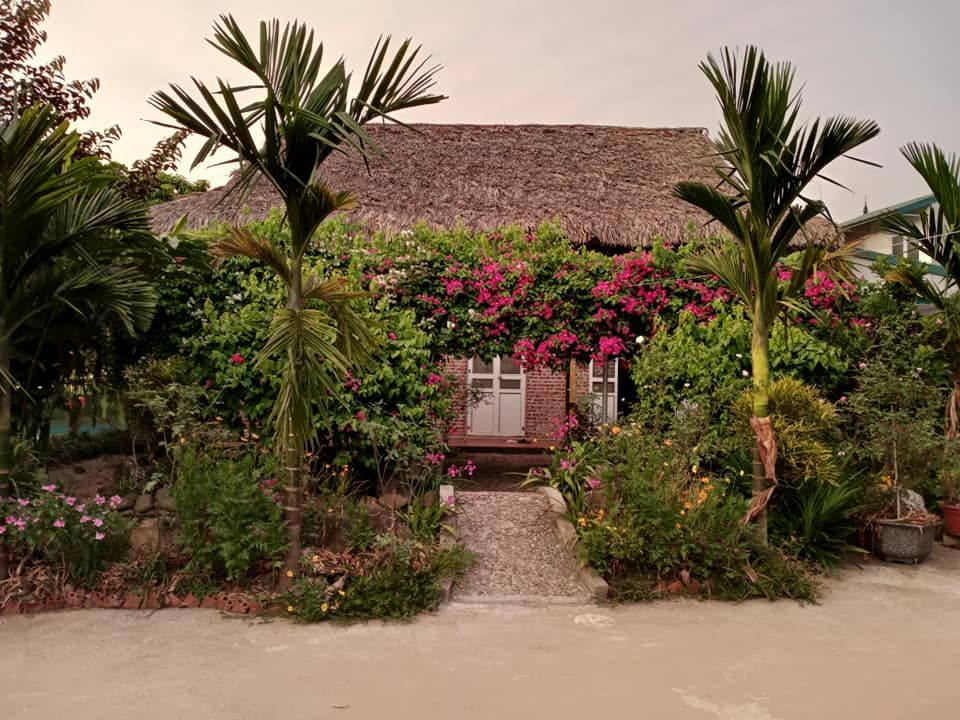 nhà sàn gỗ sến, trò 110m2( 6 phòng ngủ), 2 nhà cấp 4 ngói hạ long ( 25m2 / nhà), bếp, kho, sân vườn