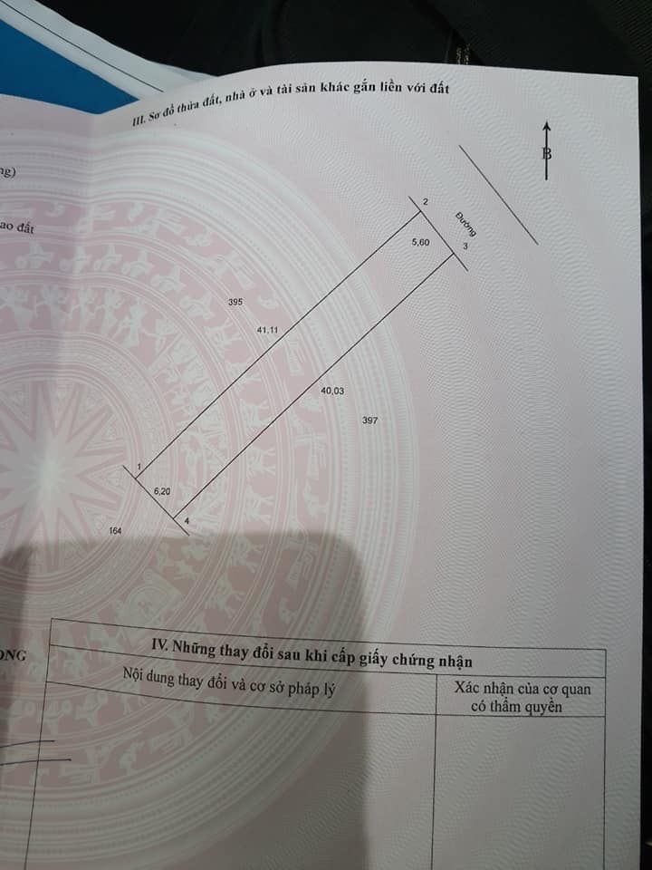 Bán nền Đông Thành dt 5,6x41=238,3m2 nở hậu 6,2m, đất cây lâu năm, đã bơm cát cao ráo bằng mặt lộ.