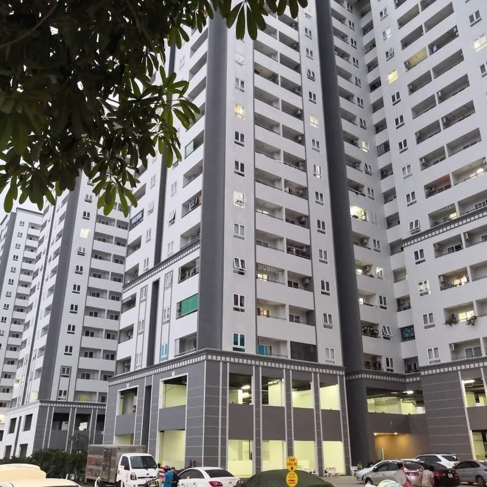 Cho thuê cân hội Chung cư Heaven Riverview - Chung cư Mỹ Phúc gần địa lộ võ văn kiệt-an dương vương