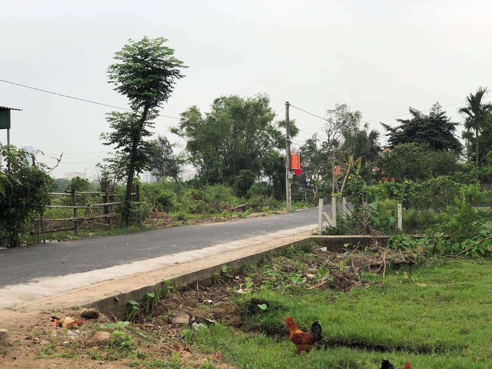 Cần bán đất: Xóm Đoài Thịnh - Xã Thạch Trung - TP. Hà Tĩnh. Đất chính chủ không qua cò. Đường 5m