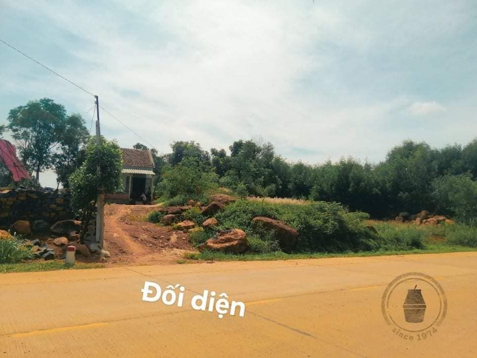 Cần bán đất mặt tiền Đường tránh lũ Tuy An, thuộc xã Sơn Long huyện Sơn Hòa. 14×50m Có sổ đỏ