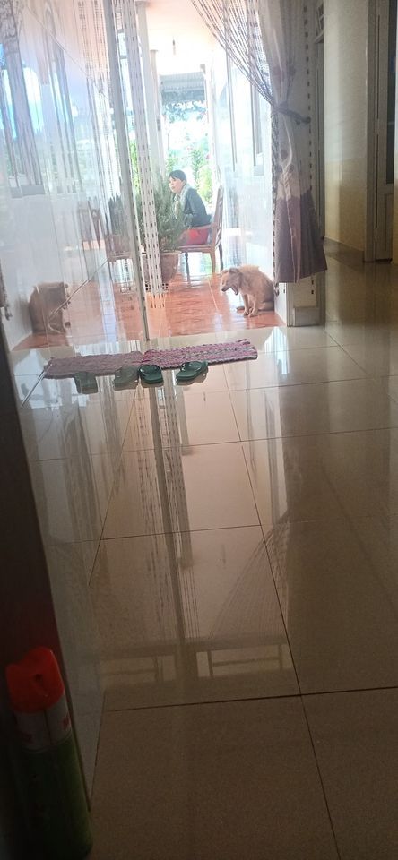 Do nhu cầu muốn đi nơi khác lập nghiệp. Bán gấp nhà phường 7 ( có tiếp mô giới)