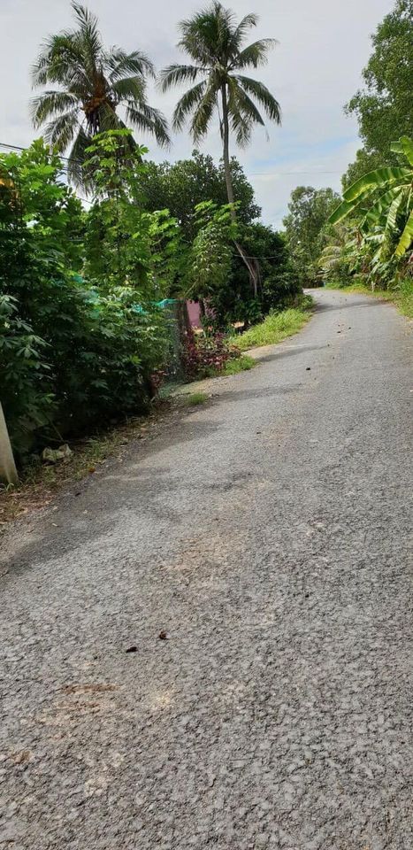 Bán đất đẹp vừa đủ cất kho bãi lộ nhựa 6m ấp Phước Ngươn B xã Phước Hậu huyện Long Hồ Tỉnh VL