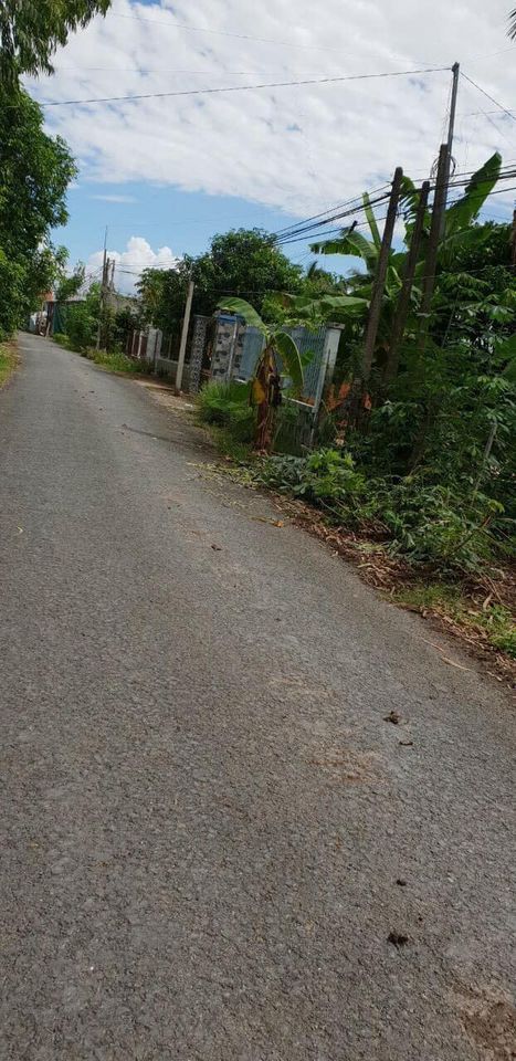 Bán đất đẹp vừa đủ cất kho bãi lộ nhựa 6m ấp Phước Ngươn B xã Phước Hậu huyện Long Hồ Tỉnh VL