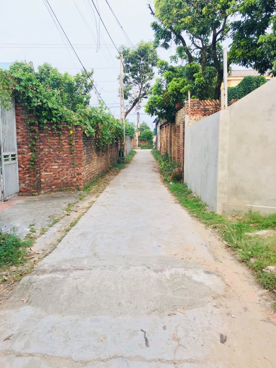 Cần bán nhanh và luôn chính chủ em bán 93m2 đất DƯỢC HẠ - TIÊN DƯỢC - SÓC SƠN