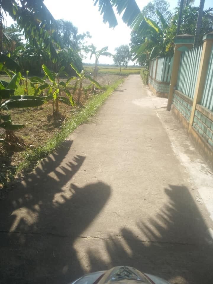 Bán đất kiệt phạm hồng thái. đất đẹp thoáng mát. Diện tích: 10 x 22