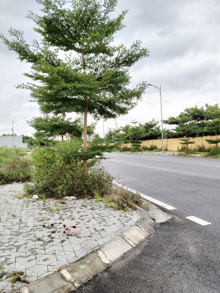 Chưa đến 1,6 tỷ sở hữu lô đất cực đắc địa, giá đầu tư ngay sát trường CĐ Thủy Lợi Bắc Bộ Hà Nam