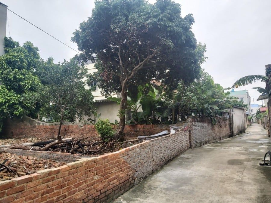 Em cần bán gấp đất 85m2 Hương Đình , Mai Đình , Sóc Sơn - Mặt tiền : 5,6m - Dài :15,2m - Sổ đỏ cc