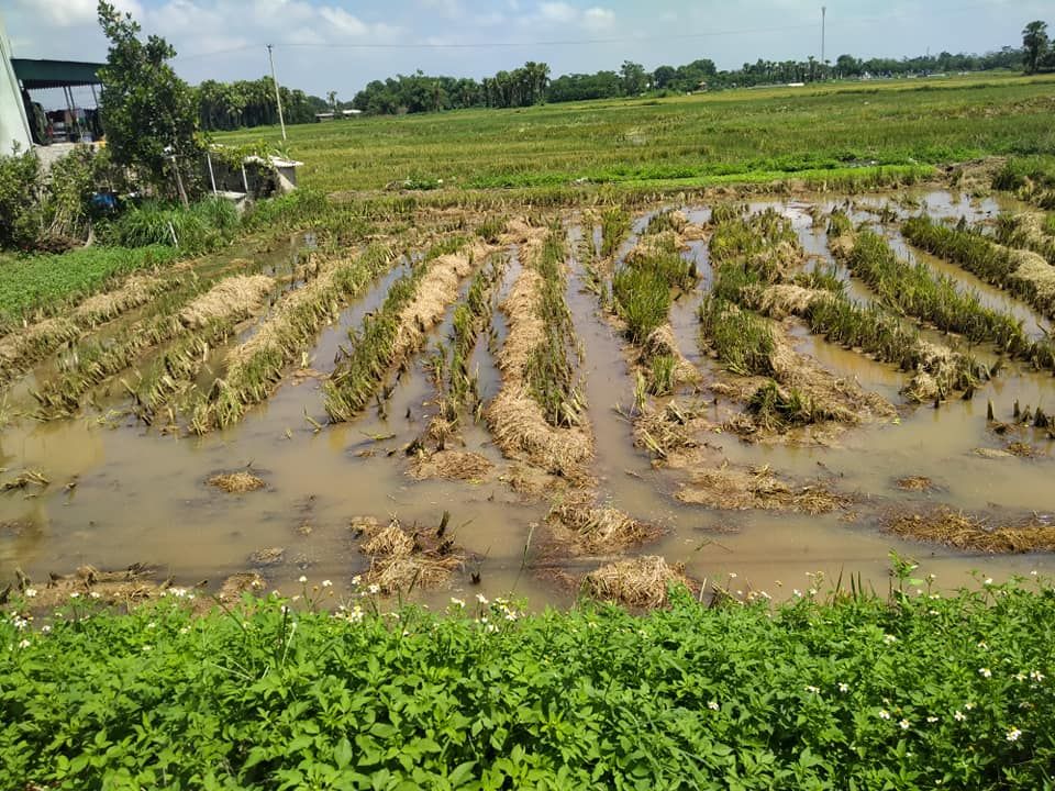 Bán lô đất 200m2 ,10m*20m tại Thôn Đồng Lương. Xã Vạn Hoà. Nông Cống