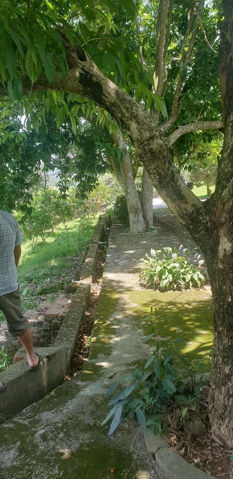 Cần bán Nhà vườn tuyệt đẹp lưng núi Lương sơn 6100m đầy đủ nhà cửa nội thất, điện nước