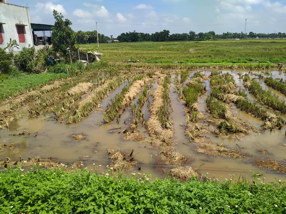 Bán lô đất 200m2 ,10m*20m tại Thôn Đồng Lương. Xã Vạn Hoà. Nông Cống